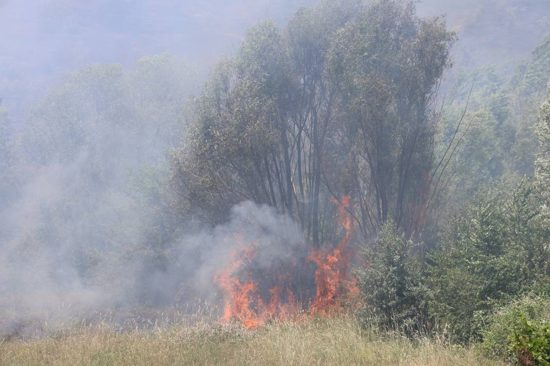 Elazığ'da orman yangını 34